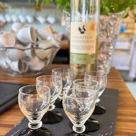 Gæstehus Næsgaarden